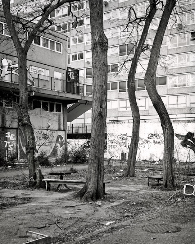 Heygate: A Natural History