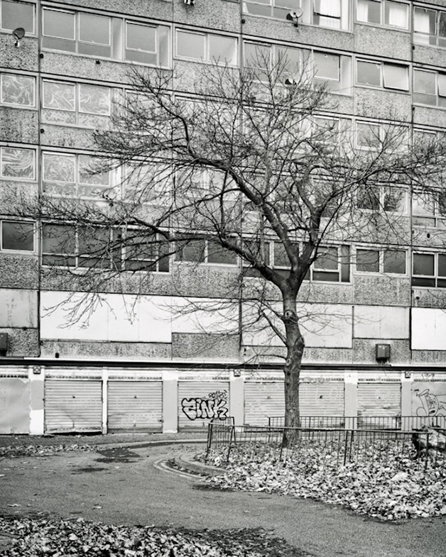 Heygate: A Natural History