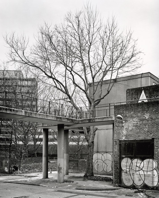Heygate: A Natural History