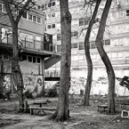 Heygate: A Natural History